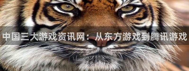 蓝冠娱乐下载：中国三大游戏资讯网：从东方游戏到腾讯游戏