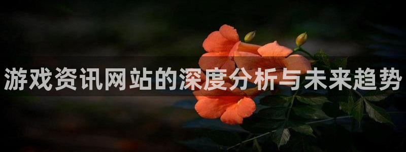 蓝冠娱乐登陆：游戏资讯网站的深度分析与未来趋势