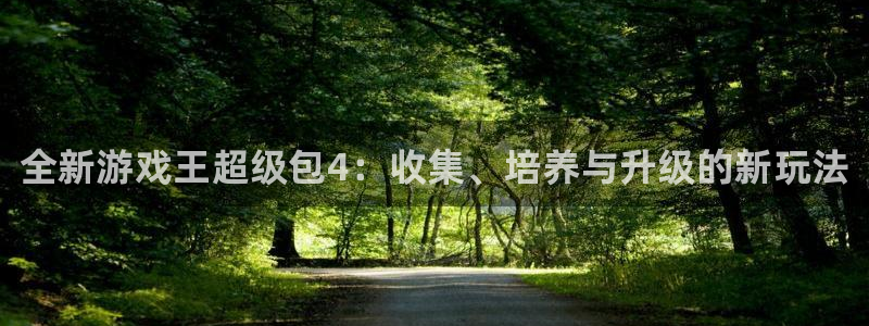 蓝冠娱乐登陆地址：全新游戏王超级包4：收集、培养与升级的新玩