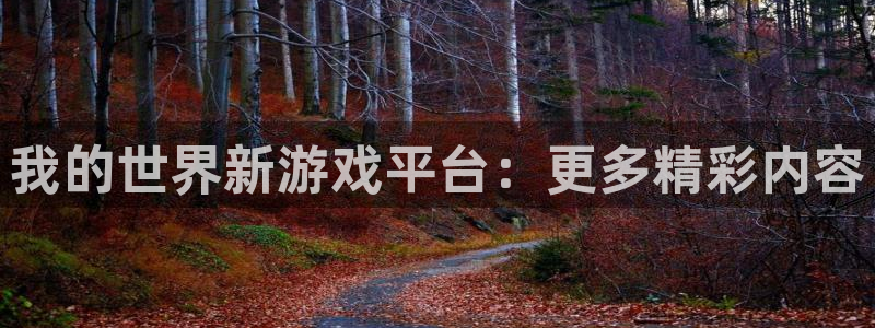 蓝冠娱乐平台注册：我的世界新游戏平台：更多精彩内容