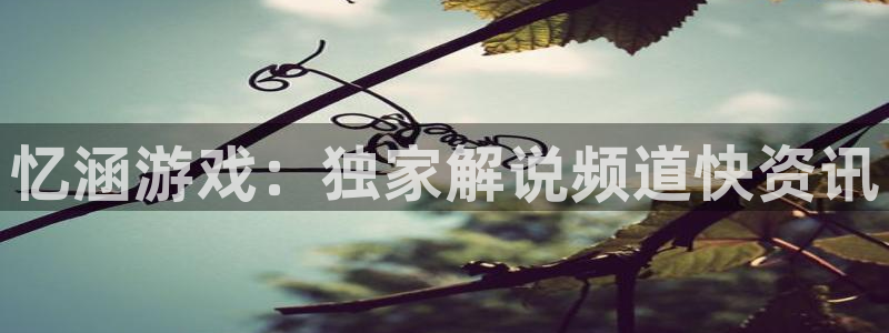 蓝冠娱乐代理登陆：忆涵游戏：独家解说频道快资讯